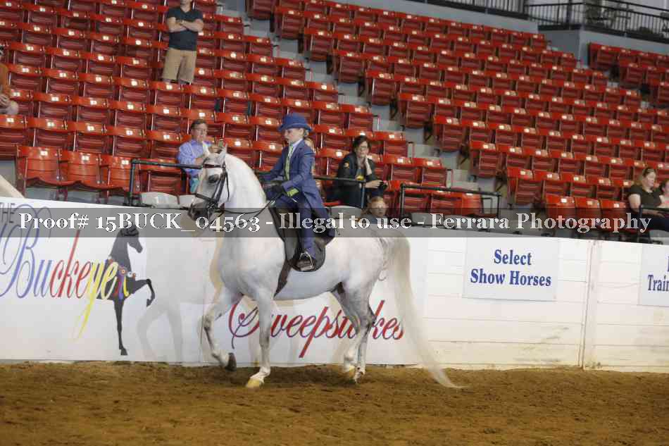 Proof 15BUCK_04563