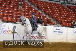 15BUCK_04563 proof