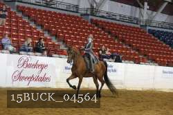 15BUCK_04564 proof