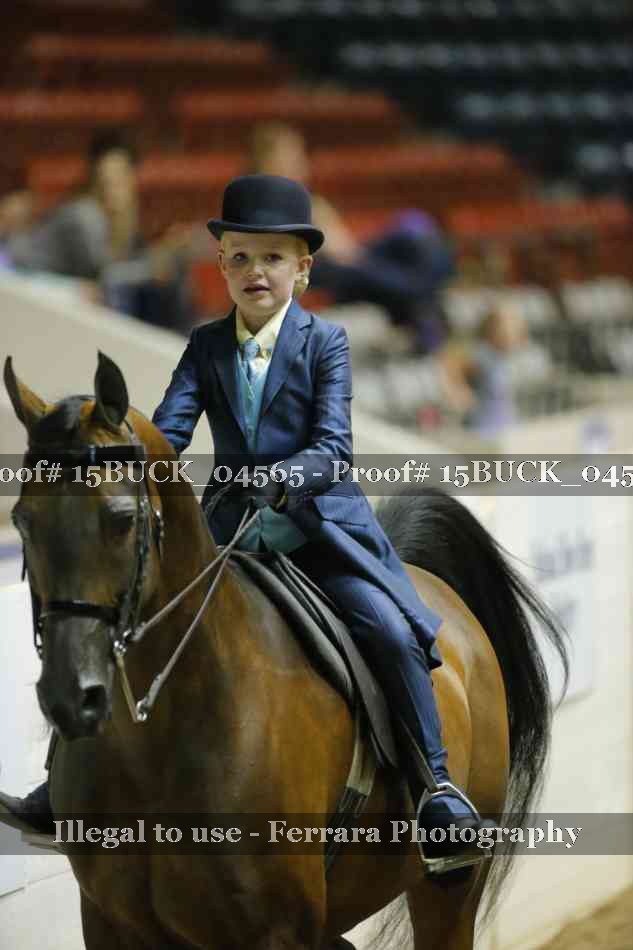Proof 15BUCK_04565