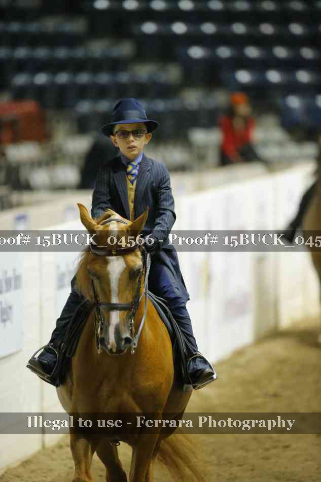 Proof 15BUCK_04566