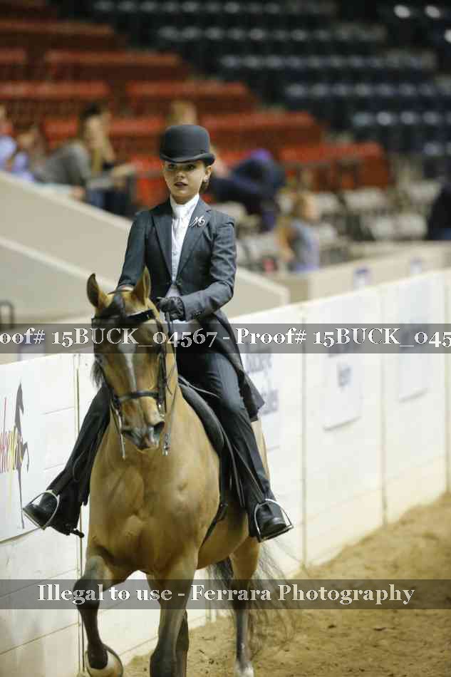 Proof 15BUCK_04567
