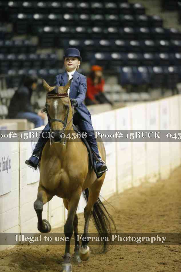 Proof 15BUCK_04568