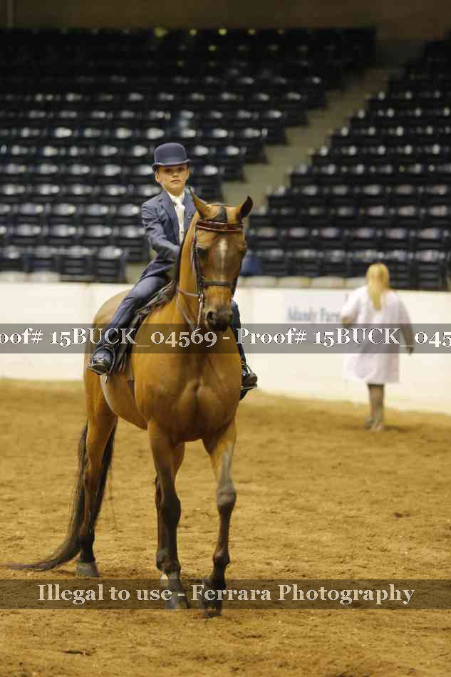 Proof 15BUCK_04569