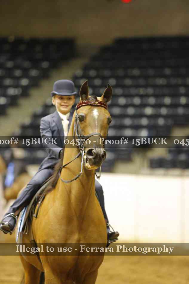 Proof 15BUCK_04570