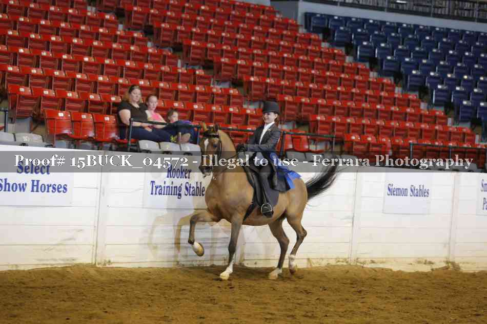 Proof 15BUCK_04572