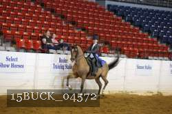 15BUCK_04572 proof