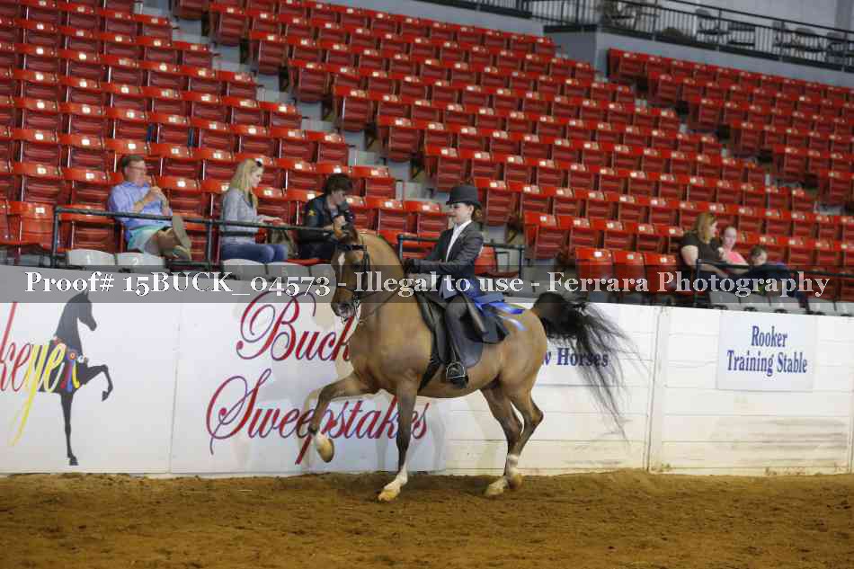 Proof 15BUCK_04573