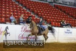 15BUCK_04573 proof