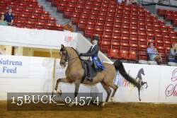 15BUCK_04574 proof