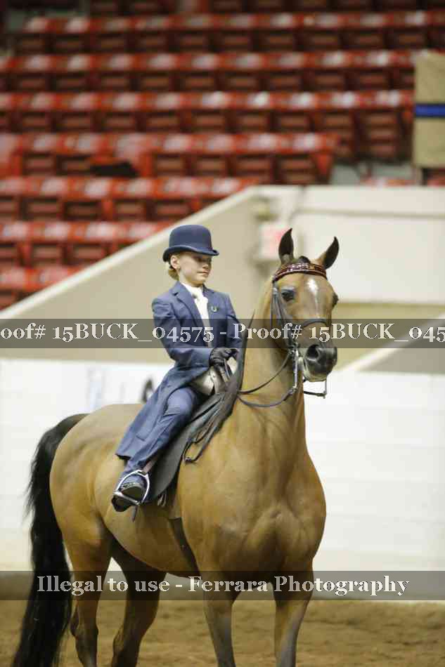 Proof 15BUCK_04575