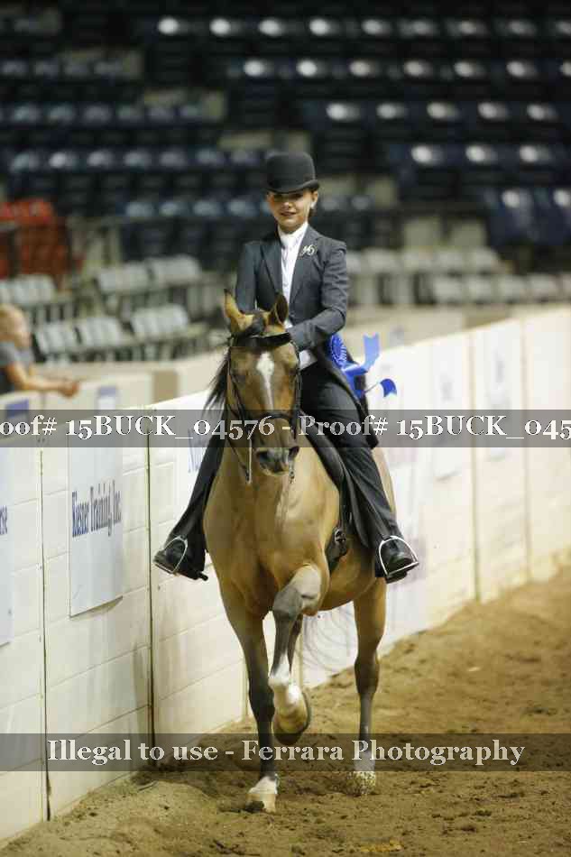 Proof 15BUCK_04576