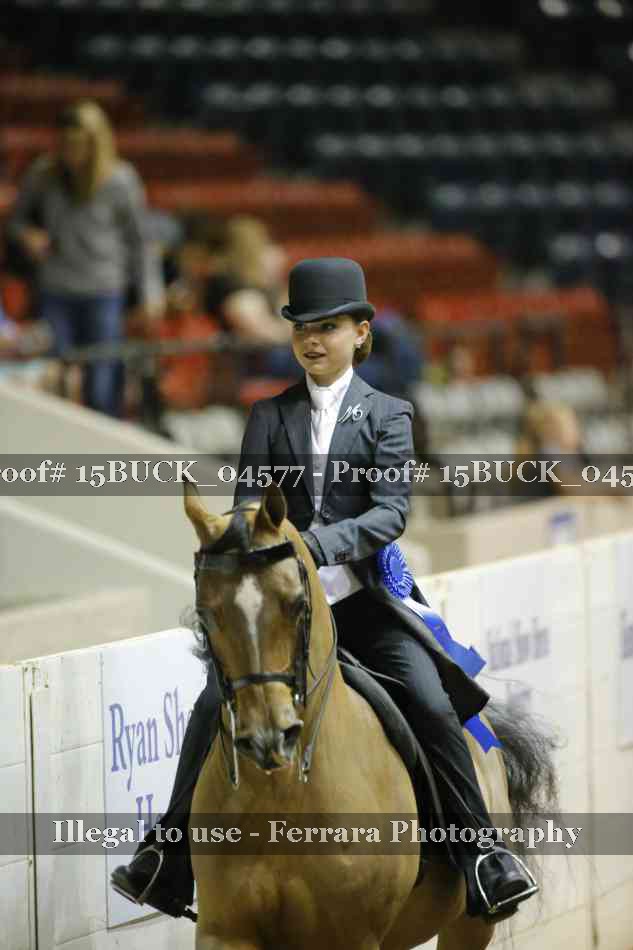 Proof 15BUCK_04577