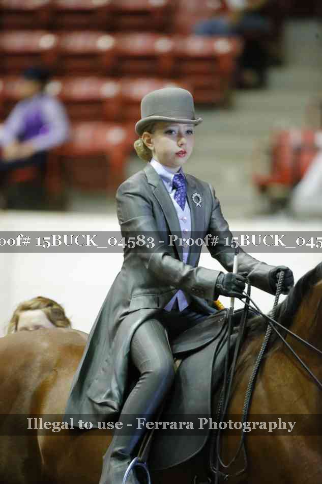 Proof 15BUCK_04583