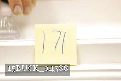 15BUCK_04588 proof