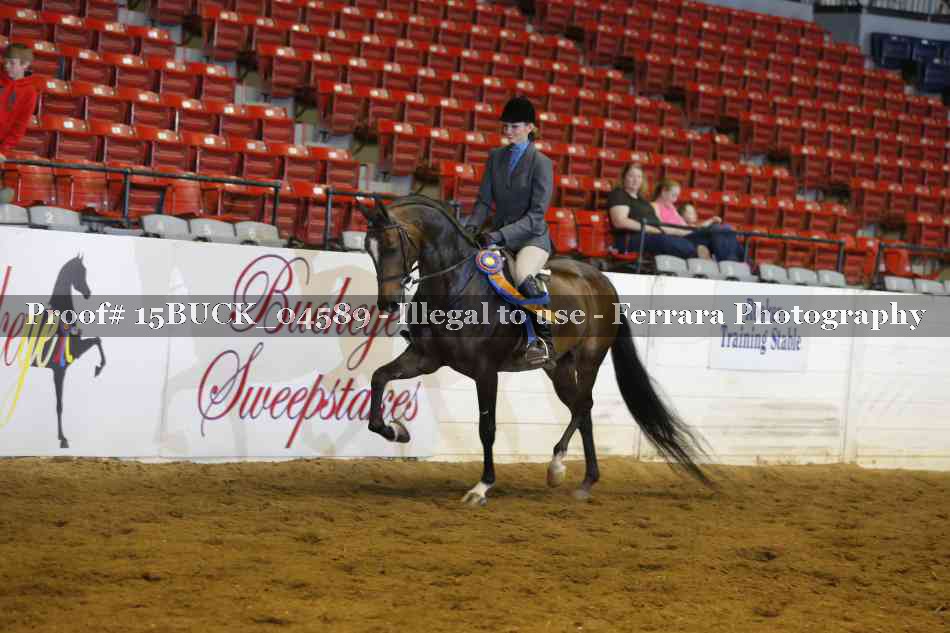 Proof 15BUCK_04589