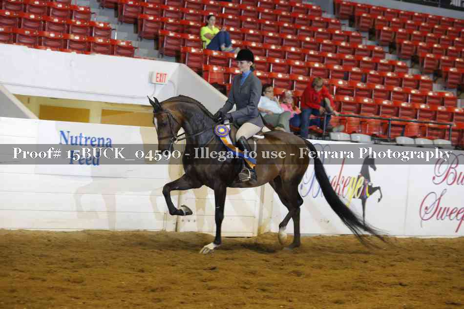 Proof 15BUCK_04590