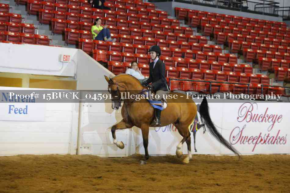 Proof 15BUCK_04591