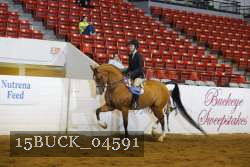15BUCK_04591 proof
