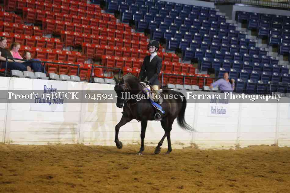 Proof 15BUCK_04592