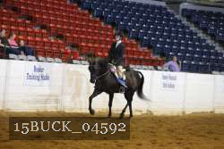 15BUCK_04592 proof