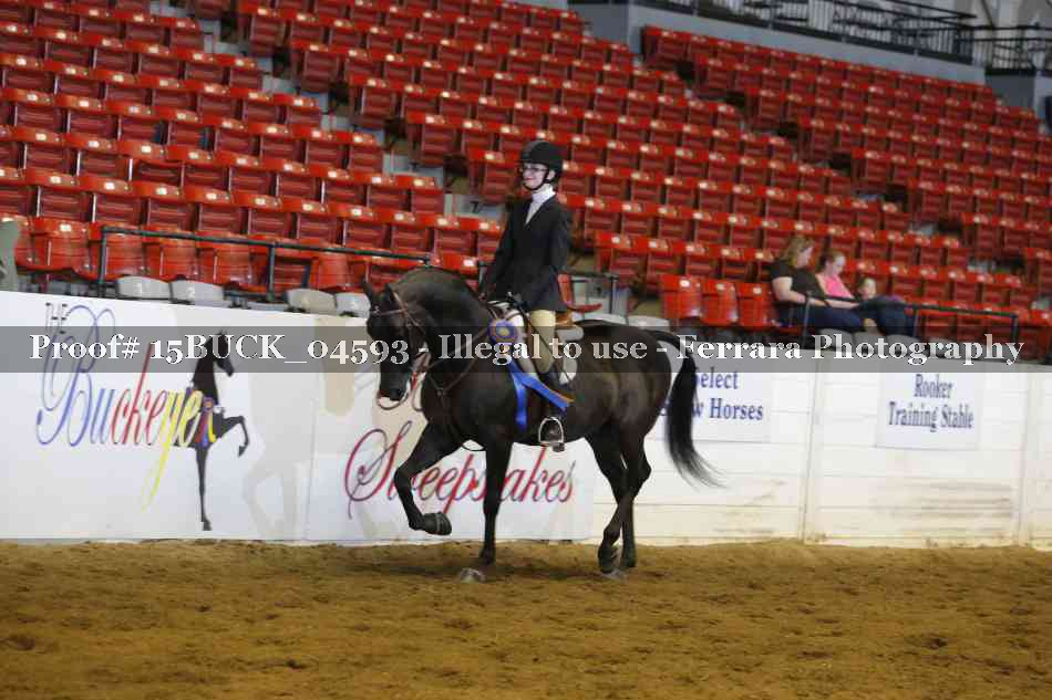 Proof 15BUCK_04593
