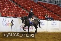 15BUCK_04593 proof
