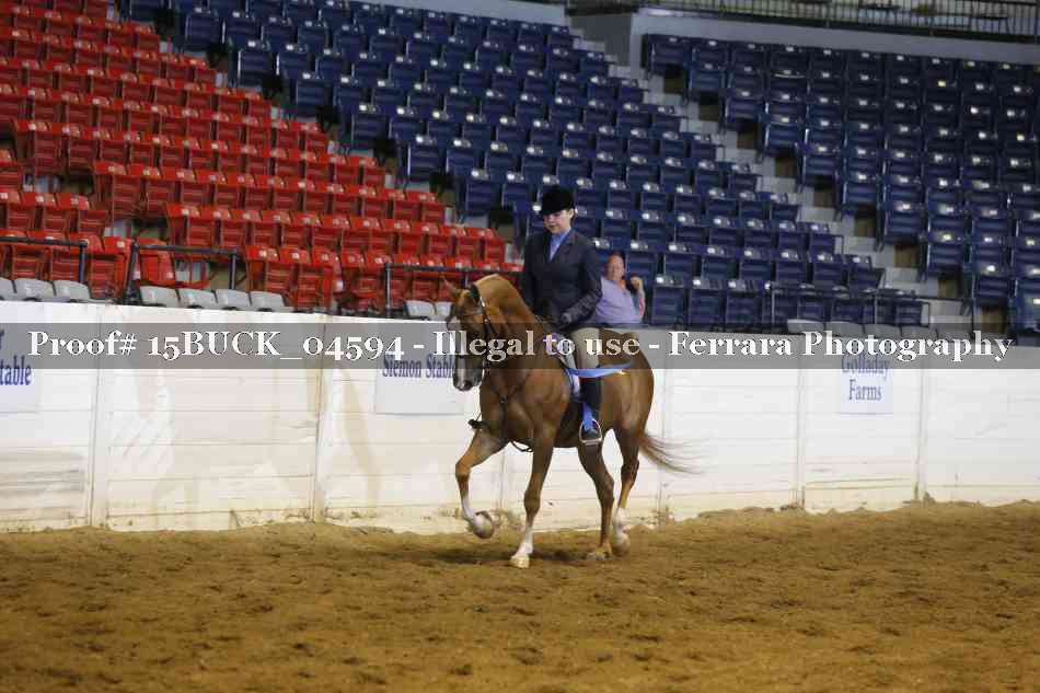 Proof 15BUCK_04594