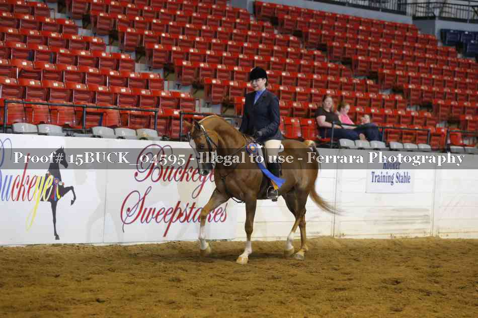 Proof 15BUCK_04595