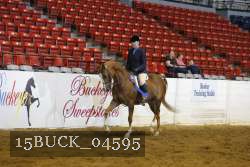 15BUCK_04595 proof