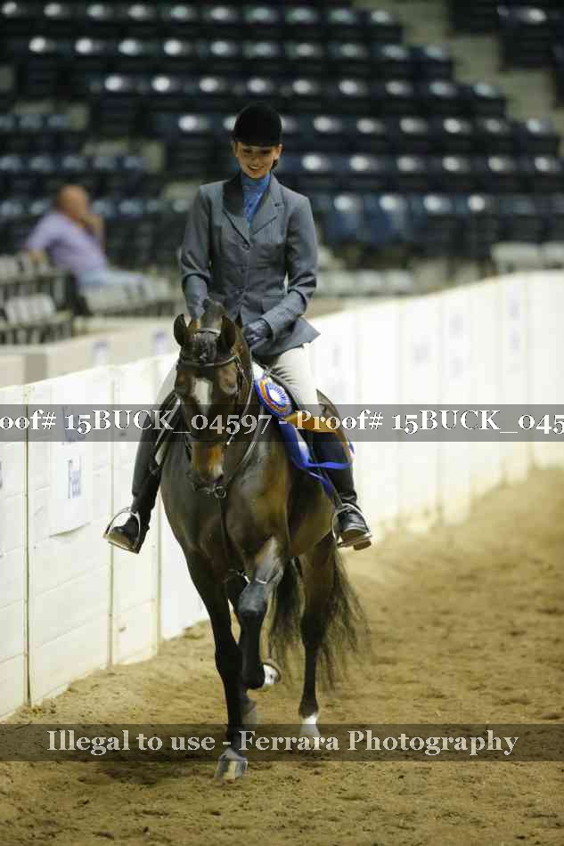 Proof 15BUCK_04597