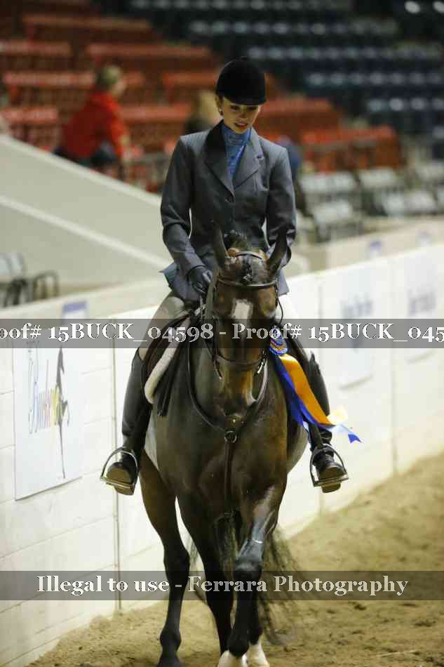 Proof 15BUCK_04598