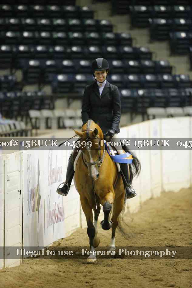 Proof 15BUCK_04599