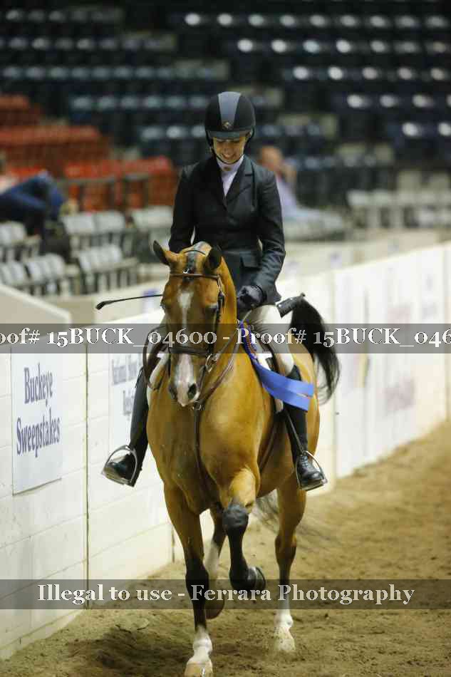 Proof 15BUCK_04600