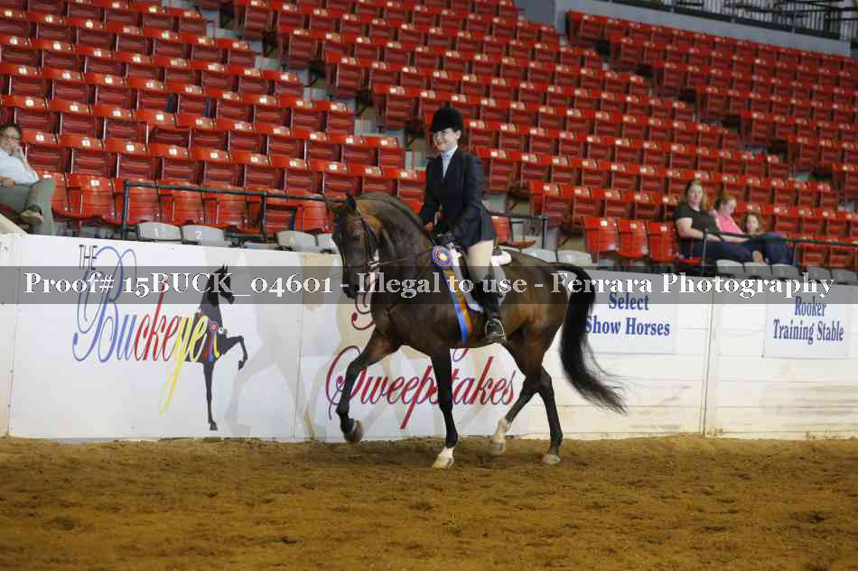Proof 15BUCK_04601