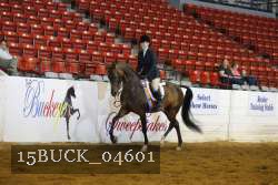 15BUCK_04601 proof