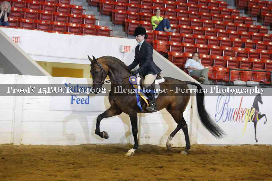 Proof 15BUCK_04602