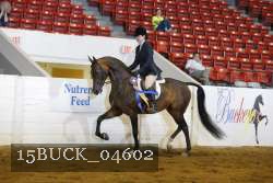 15BUCK_04602 proof