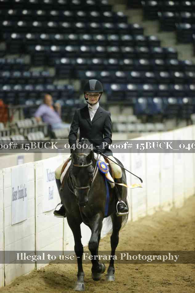 Proof 15BUCK_04604