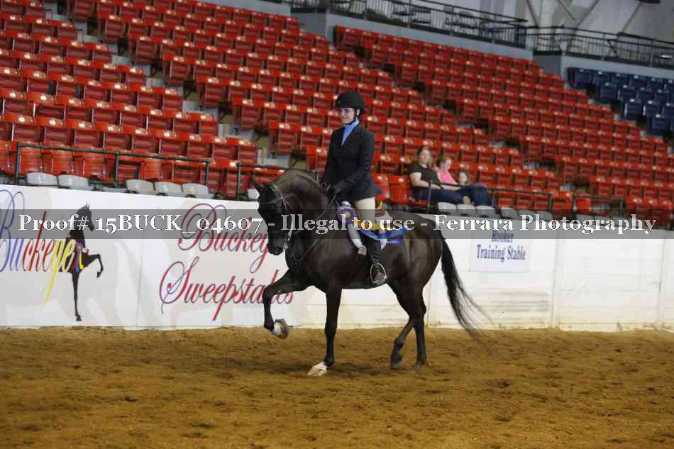 Proof 15BUCK_04607