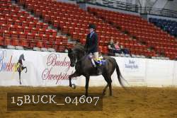 15BUCK_04607 proof
