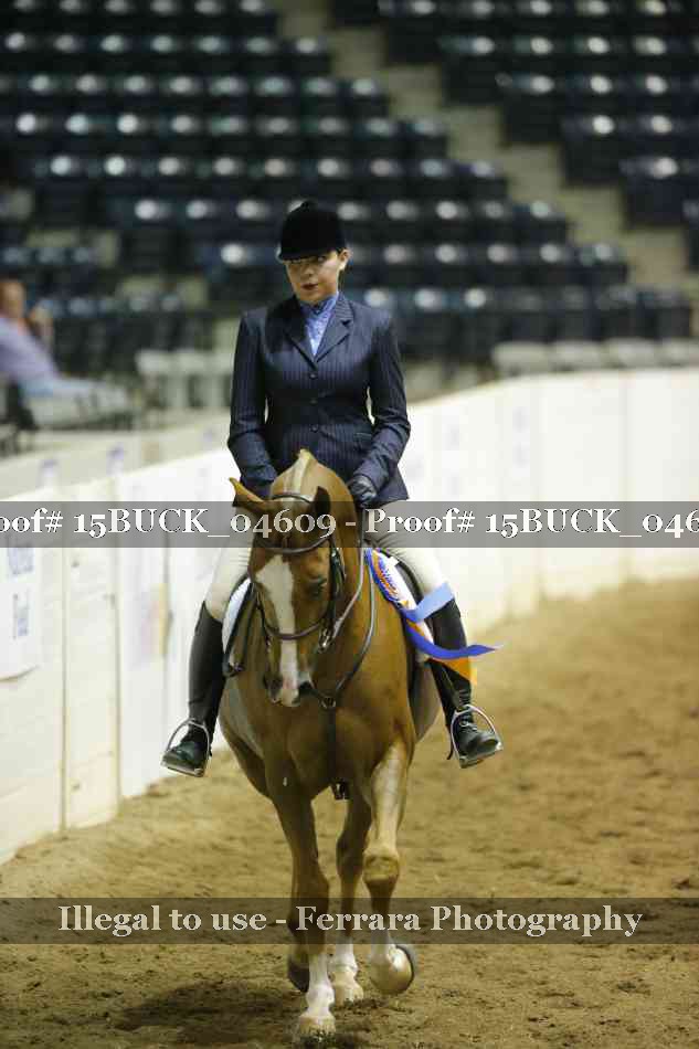 Proof 15BUCK_04609