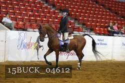 15BUCK_04612 proof