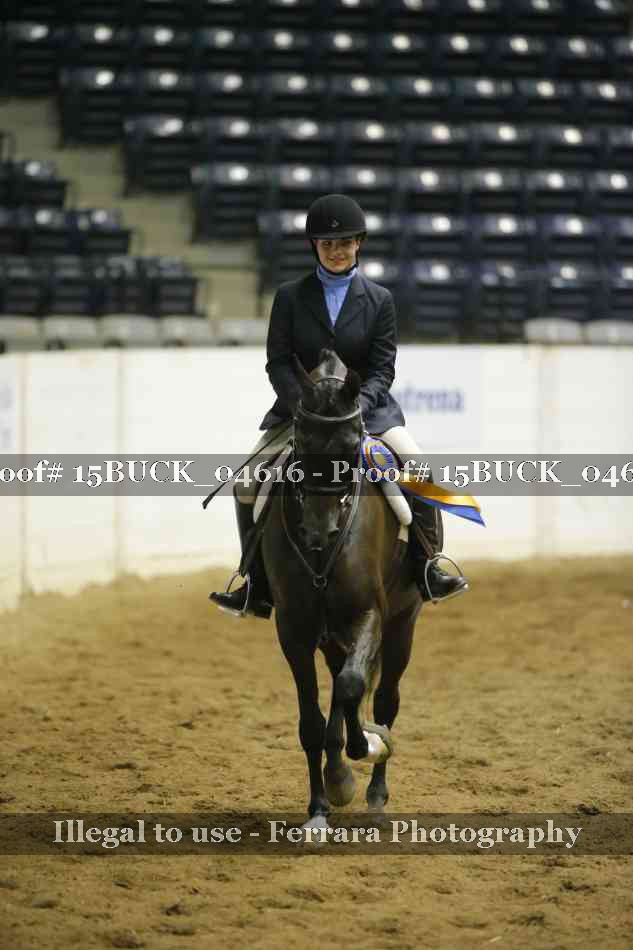 Proof 15BUCK_04616