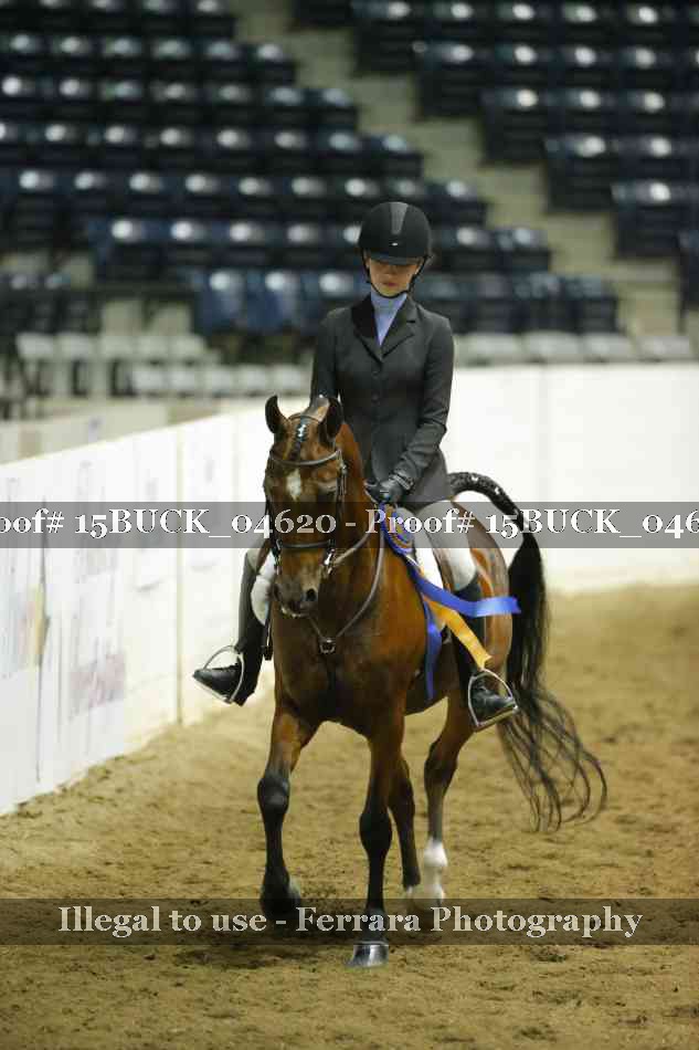 Proof 15BUCK_04620