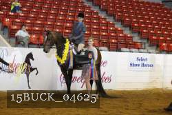 15BUCK_04625 proof