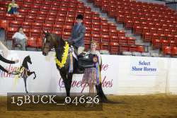 15BUCK_04626 proof