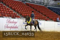 15BUCK_04633 proof