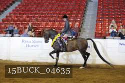 15BUCK_04635 proof