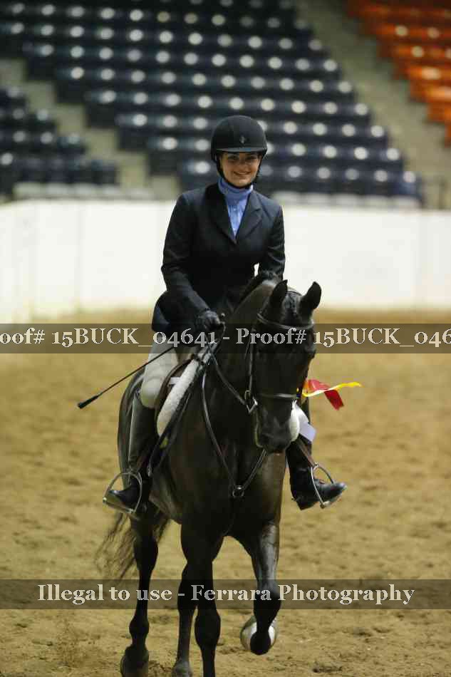 Proof 15BUCK_04641